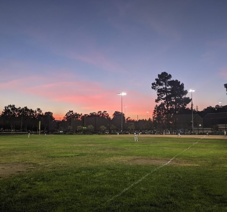 Soccer Field image 2