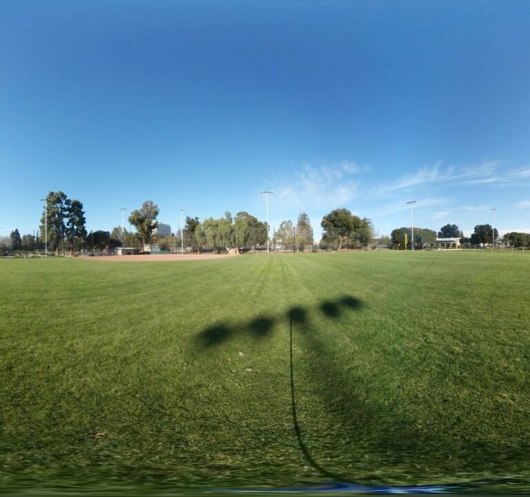 Soccer Field image 3