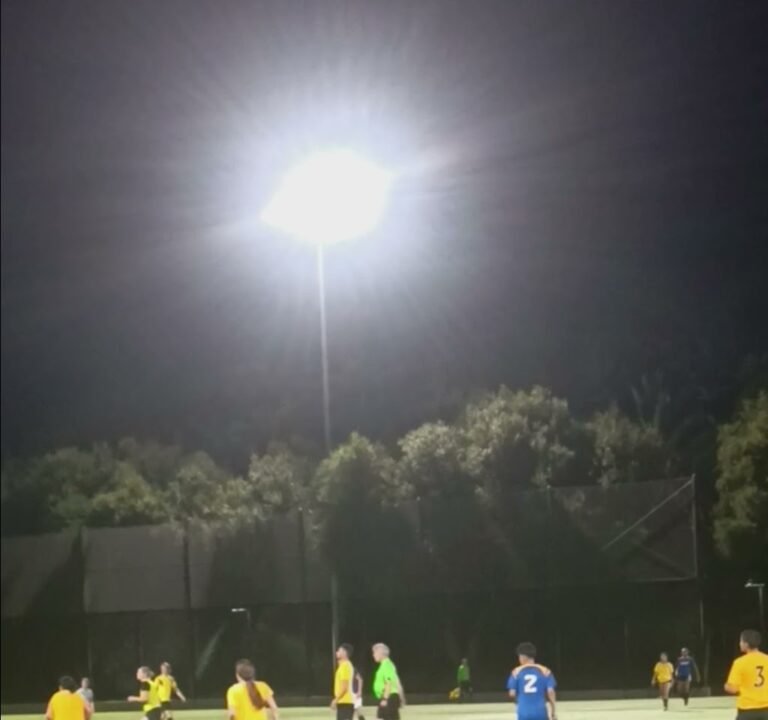 Soccer Field image 4