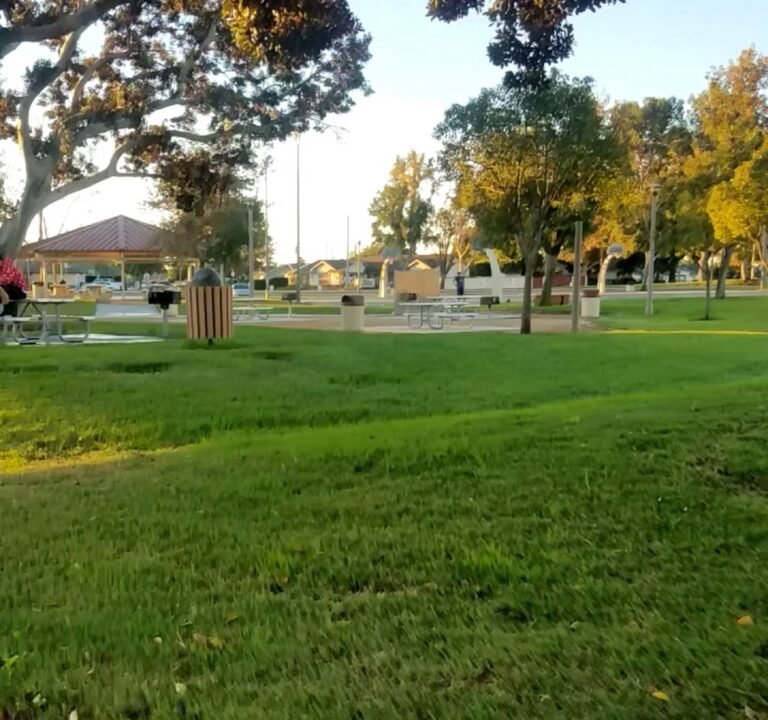 Soccer Field image 4