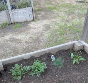 Soccer Field image 3