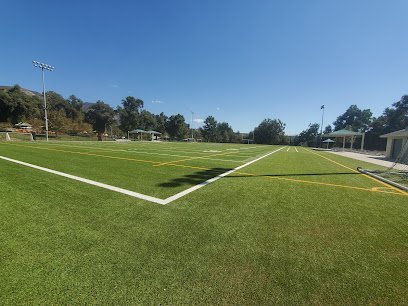 Soccer Field image 1