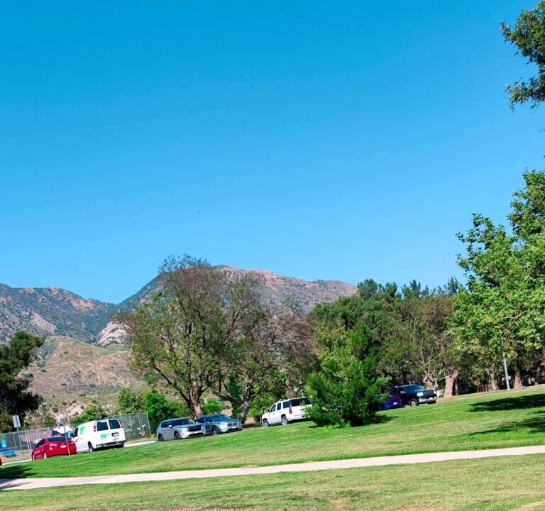 Soccer Field image 4