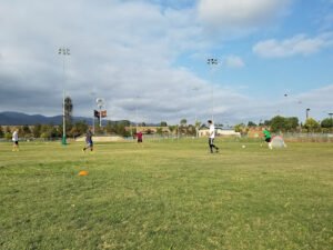 Soccer Field image 1