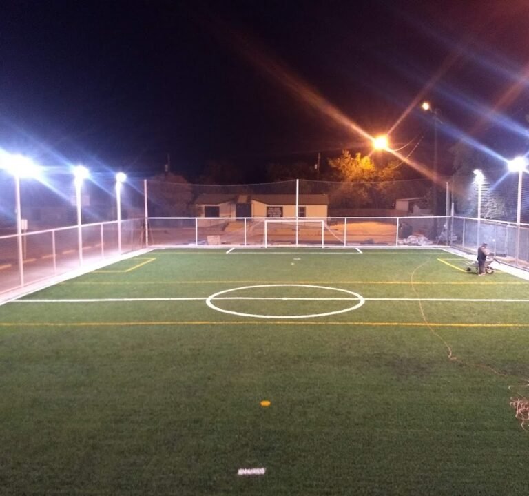 Soccer Field image 2