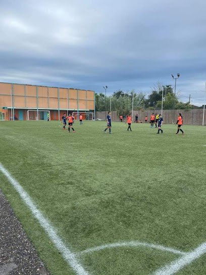 Soccer Field image 1