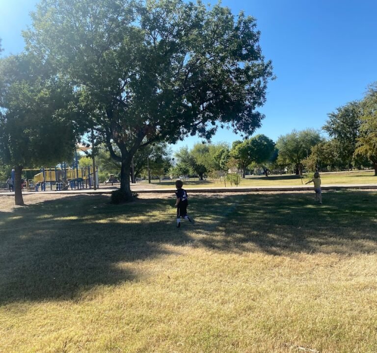 Soccer Field image 2