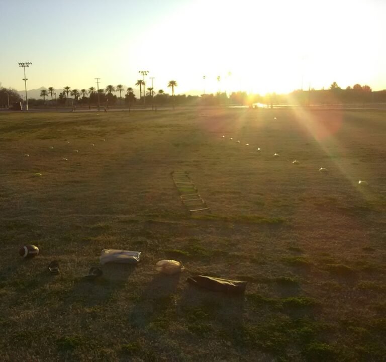Soccer Field image 3