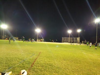 Soccer Field image 1