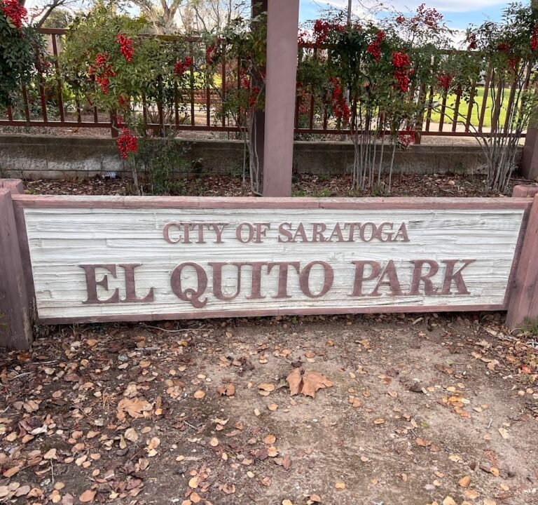 Soccer Field image 3