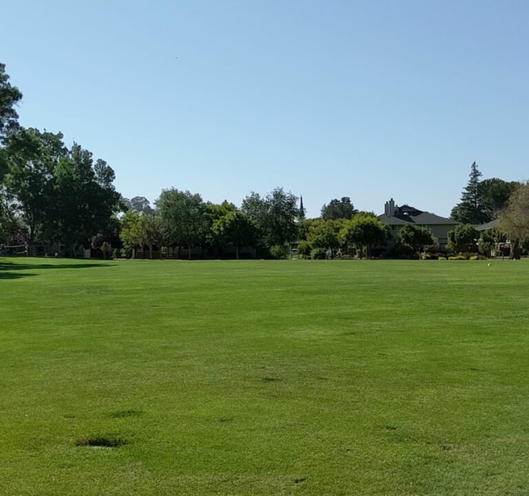 Soccer Field image 4