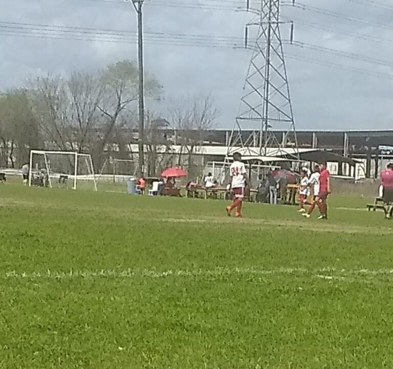 Soccer Field image 3