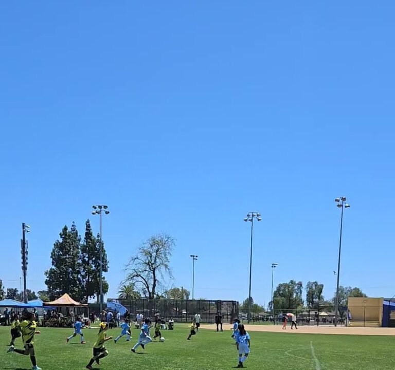 Soccer Field image 3