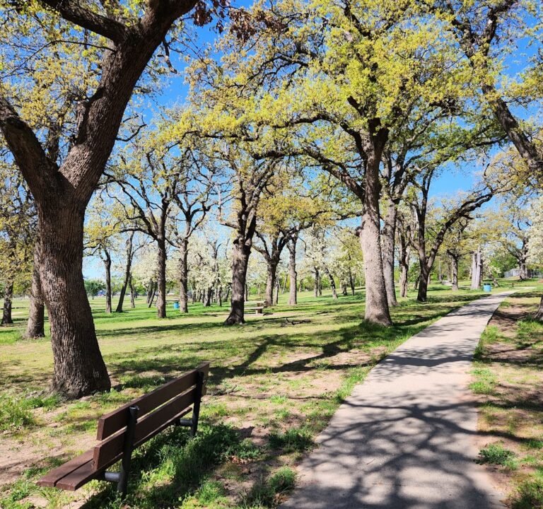 Soccer Field image 2