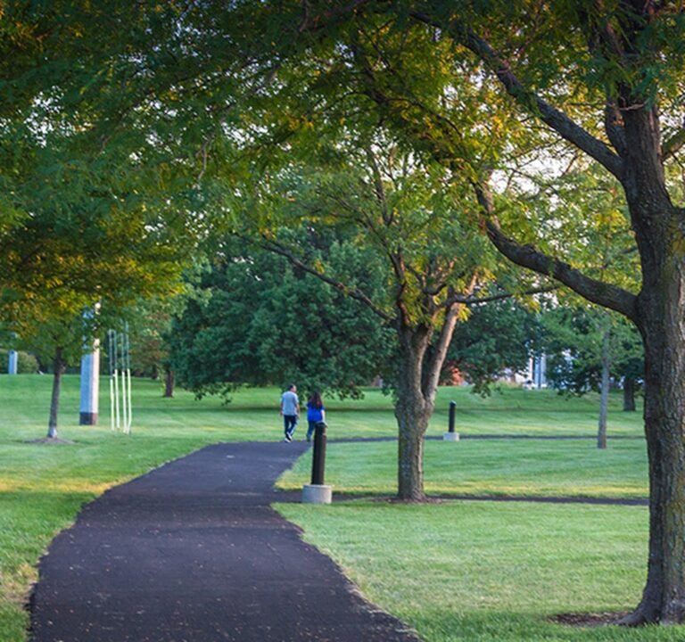 Soccer Field image 2
