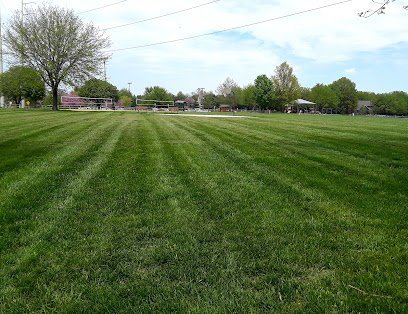 Soccer Field image 1