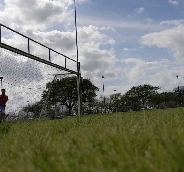 Soccer Field image 2