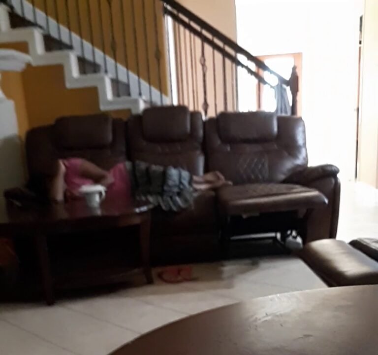 Soccer Field image 3