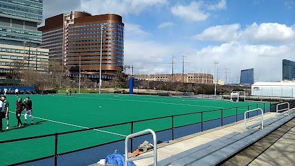 Soccer Field image 1