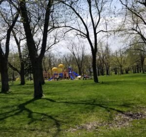 Soccer Field image 2