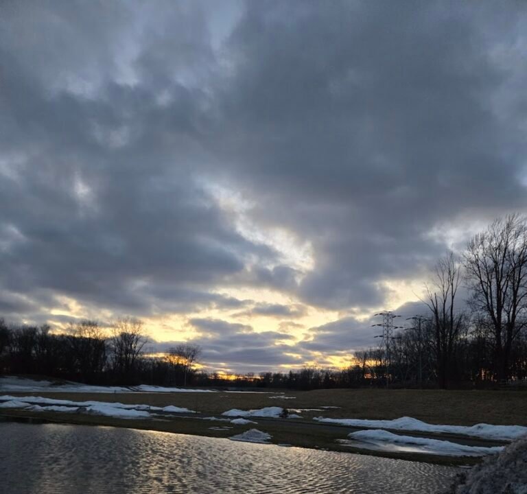 Soccer Field image 3