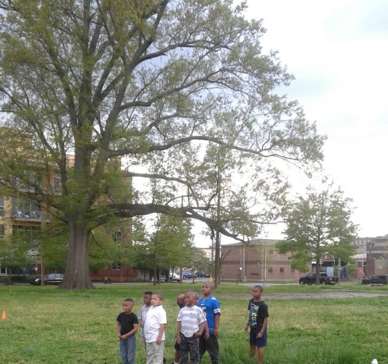 Soccer Field image 2