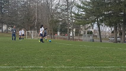 Soccer Field image 1