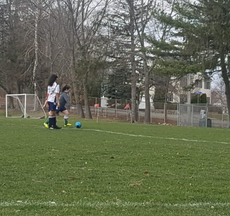 Soccer Field image 3