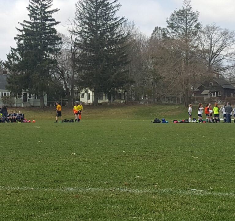 Soccer Field image 2