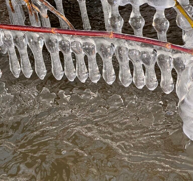 Soccer Field image 3