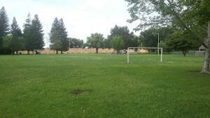 Soccer Field image 1