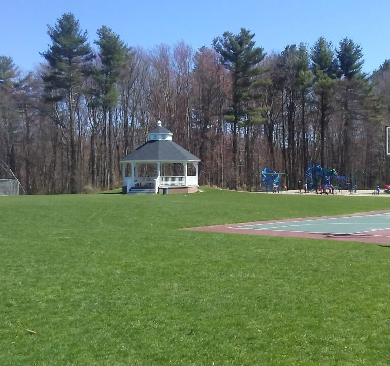 Soccer Field image 2