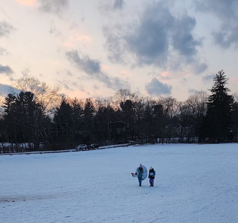 Soccer Field image 2