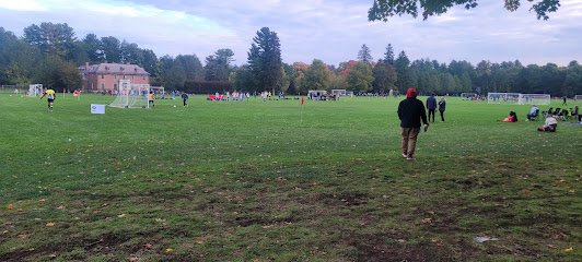 Soccer Field image 1