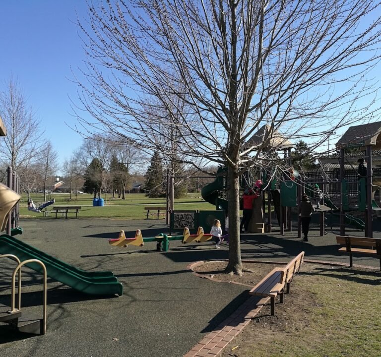 Soccer Field image 2