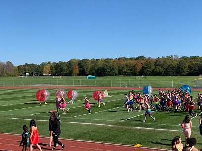 Soccer Field image 1