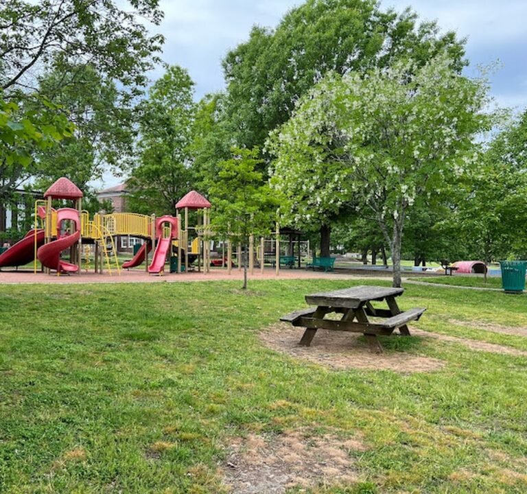 Soccer Field image 2