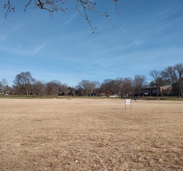 Soccer Field image 3