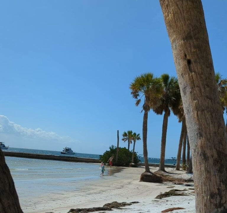 Soccer Field image 4