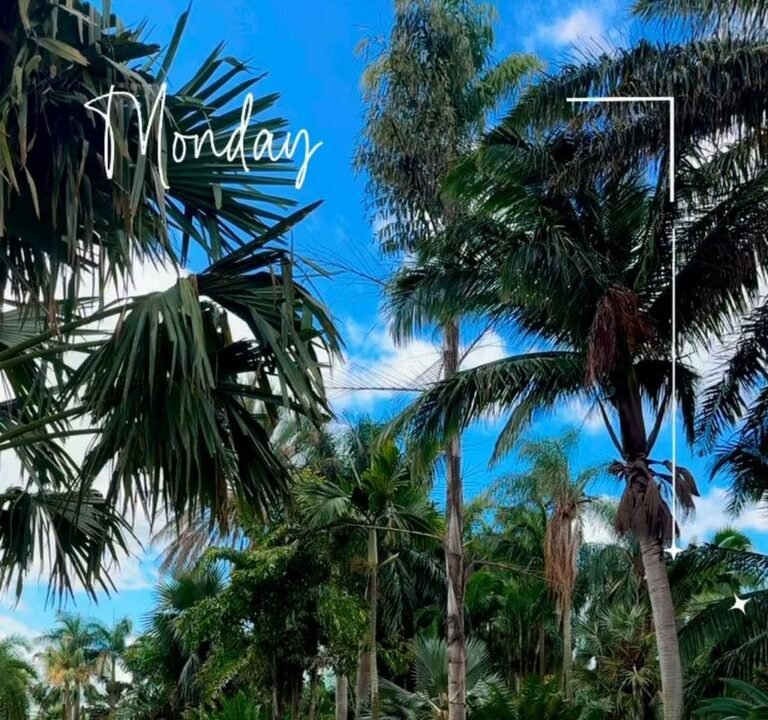 Soccer Field image 3