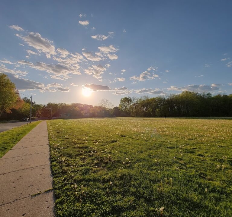 Soccer Field image 2
