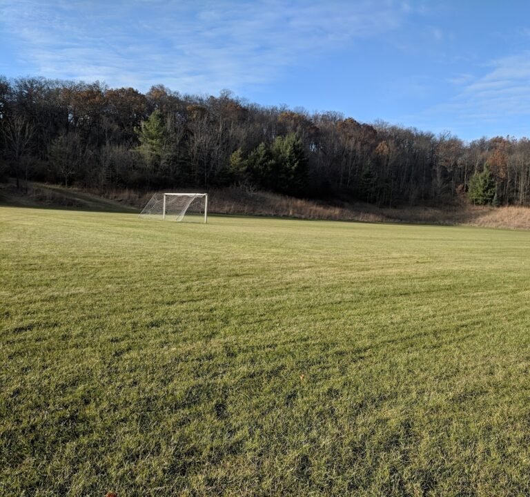 Soccer Field image 3
