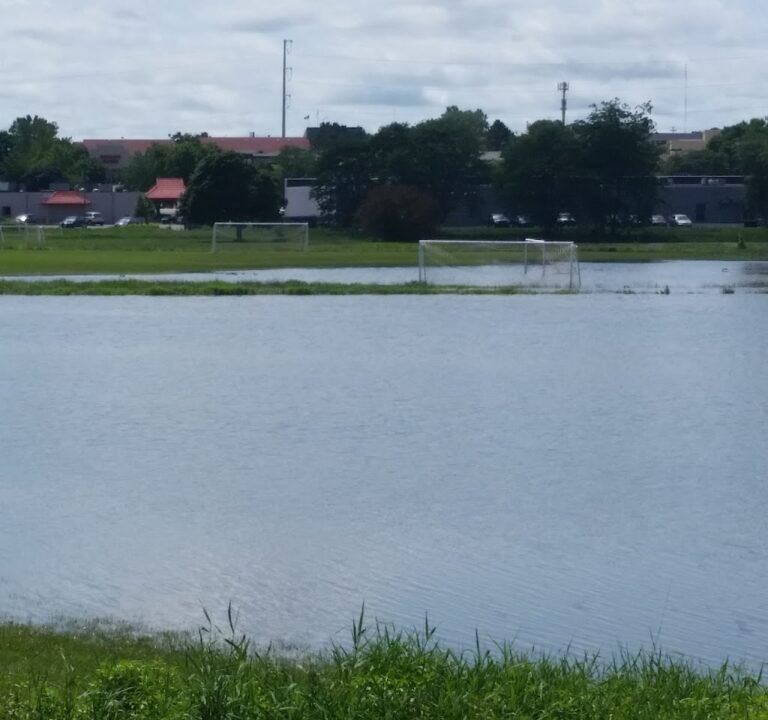 Soccer Field image 2