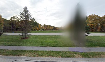 Soccer Field image 1