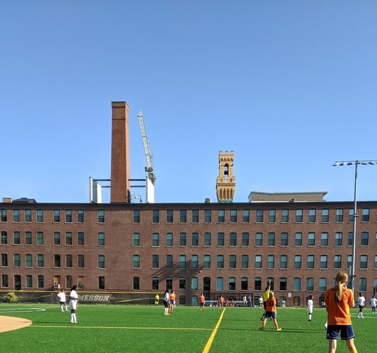 Soccer Field image 2