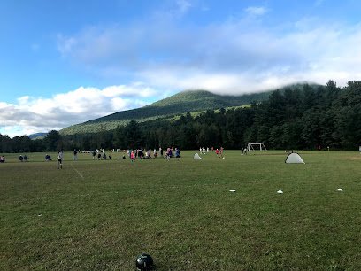 Soccer Field image 1