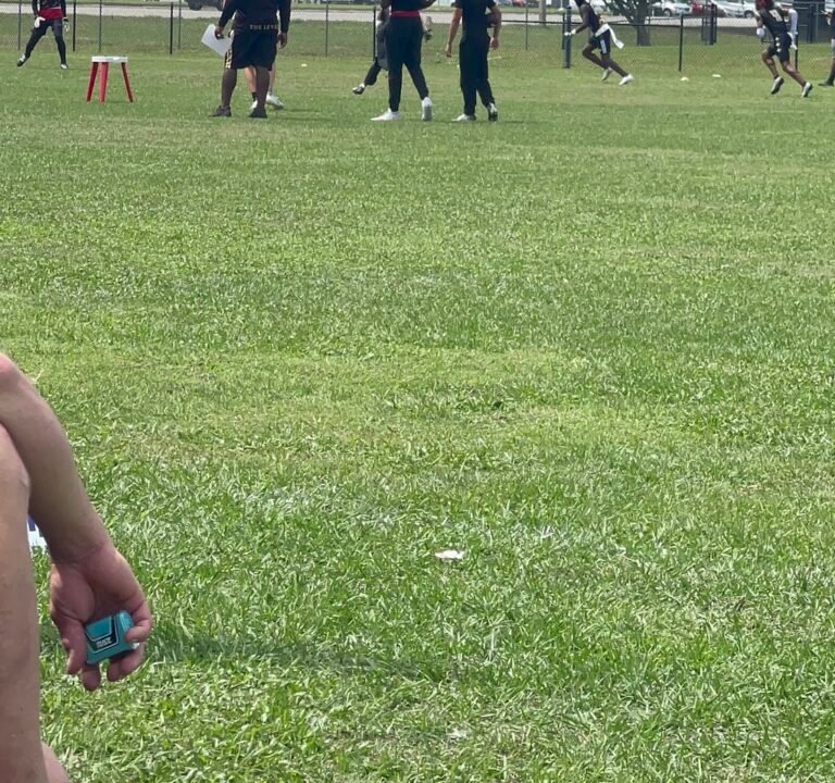 Soccer Field image 2