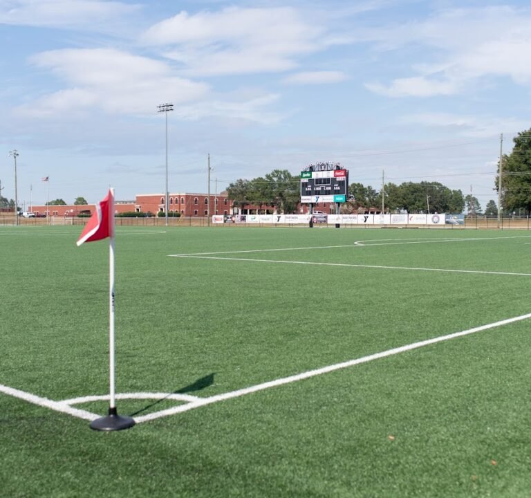 Soccer Field image 2