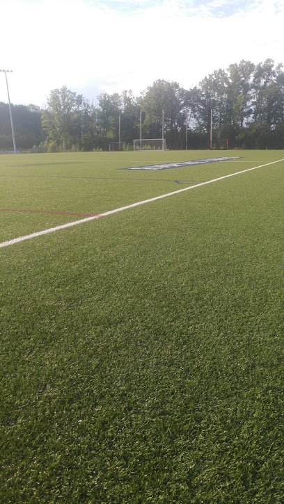 Soccer Field image 1