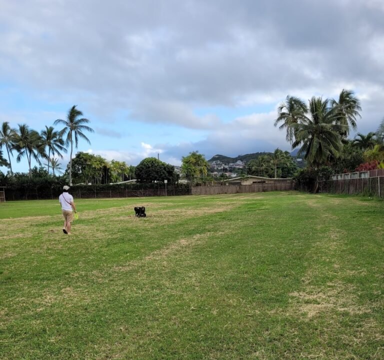Soccer Field image 3